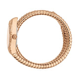 Just Cavalli Aurela Rose Gold Dial Rose Gold Steel Strap Watch for Women - JC1L374M0045
